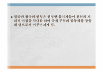 [마인문화사] 이슬람 무역 왕국(말라카 왕국)과 인도네시아 고대왕국의 특성-7
