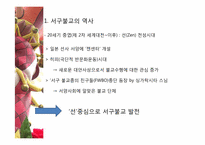 [불교개론] 서구 불교에 관한 고찰-11