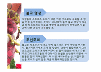 [불교개론] 서구 불교에 관한 고찰-16