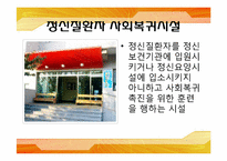 [사회복지실천] 정신보건시설의 이해와 지역사회에서의 발전 과제-12