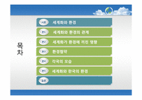 [세계화의이해] 세계화와 환경에 관한 고찰과 방안모색-2