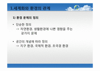[세계화의이해] 세계화와 환경에 관한 고찰과 방안모색-8
