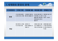 [세계화의이해] 세계화와 환경에 관한 고찰과 방안모색-10