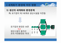 [세계화의이해] 세계화와 환경에 관한 고찰과 방안모색-12