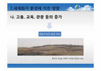 [세계화의이해] 세계화와 환경에 관한 고찰과 방안모색-13