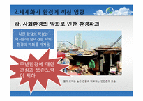 [세계화의이해] 세계화와 환경에 관한 고찰과 방안모색-15