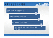 [세계화의이해] 세계화와 환경에 관한 고찰과 방안모색-18