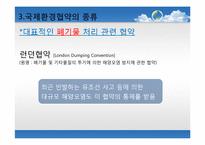 [세계화의이해] 세계화와 환경에 관한 고찰과 방안모색-20