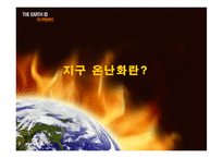 [자원환경정책] 기후변화와 원자력 발전에 대한 고찰-3