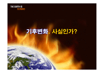 [자원환경정책] 기후변화와 원자력 발전에 대한 고찰-8