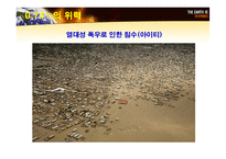 [자원환경정책] 기후변화와 원자력 발전에 대한 고찰-15