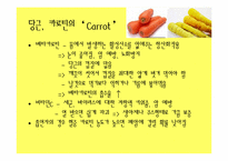 [현대인과영양] 컬러푸드 분석-13