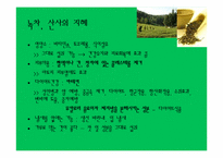 [현대인과영양] 컬러푸드 분석-19
