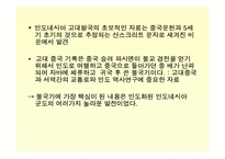 [마인문화사] 인도네시아의 고대 문화-3