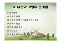 [가족학] 다문화 가정의 이해와 실태 분석-5