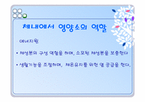 [운동과건강] 영양과 건강-4