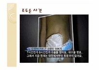 [성의생물학] 성범죄에 관한 분석-15