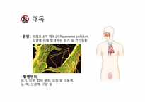 [성의생물학] Venereal Disease(성병)에 관한 분석-9