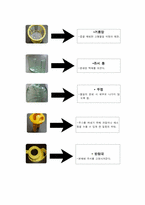 [창의적설계] 제품 해체 및 설계 추론 실습과 적용된 이론 분석-10