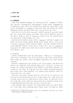 [교육학이론] 교육의 이해-2
