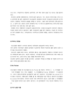 [국제기업환경론]인도 해외투자-7