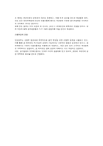 [국제기업환경론]인도 해외투자-10