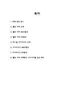 [마케팅]헬로키티(Hello kitty)마케팅 성공사례-2