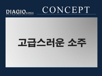[광고학]디아지오 코리아(DIAGIO KOREA) PR 광고제작 기획서-6