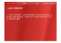 [광고론]스포츠 마케팅 현황 및 분석-3