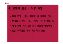 [국제경영]LG 전자의 브라질 진출 전략-9
