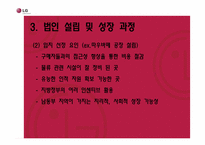 [국제경영]LG 전자의 브라질 진출 전략-16