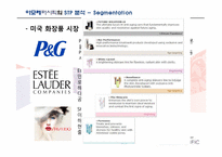 [국제경영]아모레퍼시픽의 미주 사업부 전략 분석-10