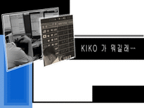 [국제재무]KIKO 파생상품의 헷지 실패와 시사점-1