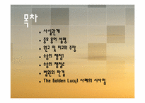 [국제운송론]분쟁사례-The Golden Lucy1 사례의 시사점-2