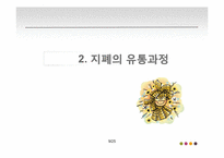 [물류산업]화폐의 일생 및 화폐 전반의 흐름에 관하여-9