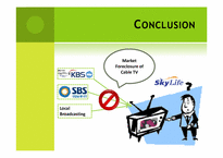 [산업조직론]케이블 TV 와 위성 TV(영문)-15