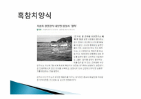 씽크이노베이션(Think Innovation)사례-마쓰다의 로드스타, 산토리의 이에몬-13