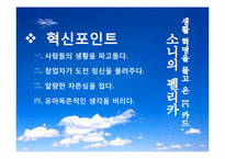 씽크이노베이션(Think Innovation)사례-샤프의 헤르시오, 소니의 펠리카-6
