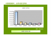 [마케팅]처음처럼 마케팅 전략-6