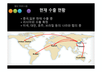 [국제경영]영구 기저귀 시장 진출을 위한 해외 바이어 발굴-19