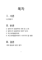 [관광이벤트]부산세계불꽃축제 활성화방안(스페인 발렌시아 불꽃축제와 비교)-2