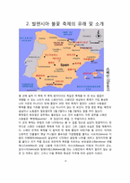 [관광이벤트]부산세계불꽃축제 활성화방안(스페인 발렌시아 불꽃축제와 비교)-4