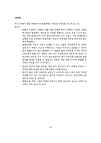 [관광이벤트]부산세계불꽃축제 활성화방안(스페인 발렌시아 불꽃축제와 비교)-16
