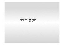 [대중문화 콘텐츠 분석]문화대통령 서태지가 대중문화에 끼친 영향-3