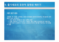 [생명정보]9장 복제와 줄기세포-13