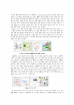 [아동심리학]아동 색채 지각 발달-1