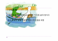 [교육학]반편견 교육 프로그램-11