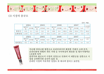 [사업계획서]뷰티맞춤코칭 색조브랜드사업-14