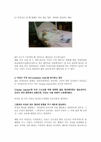 [소비자 행동] 미적 코드(Aesthetic Code)-3