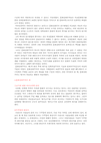 다국적기업의 세계화 전략 -맥도날드 사례-15